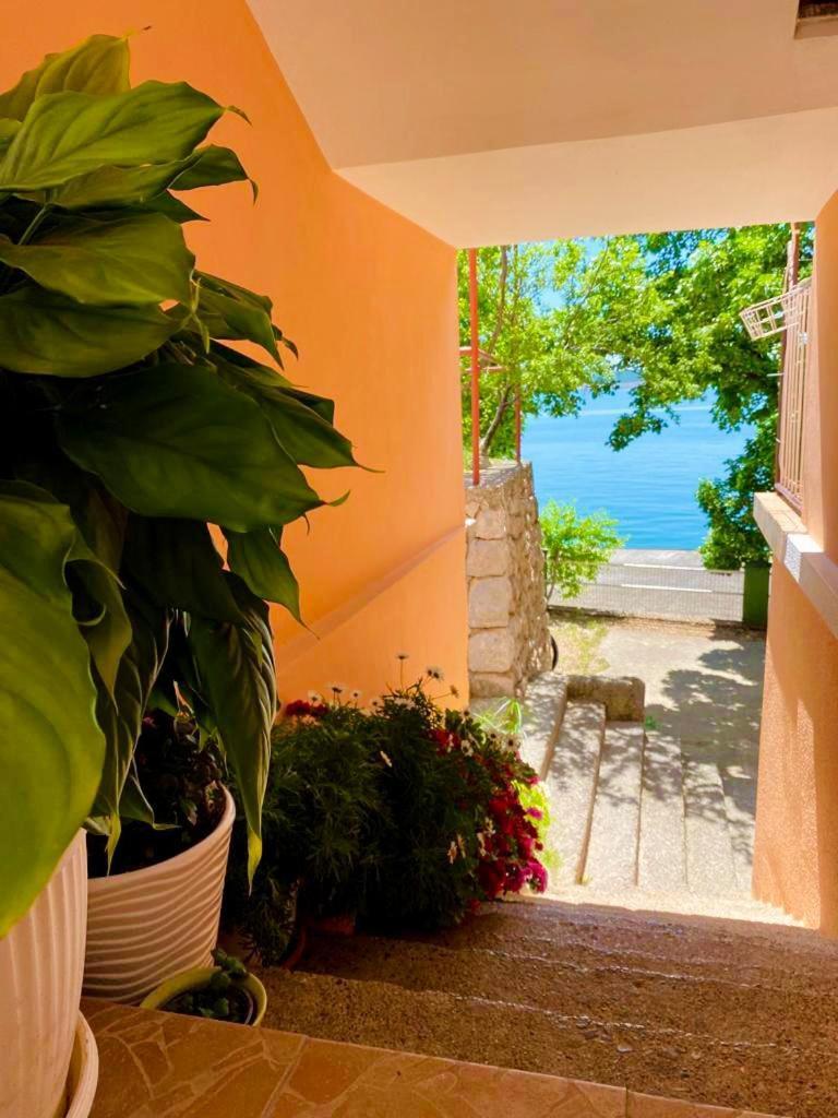 Porat Apartment Starigrad Exterior photo